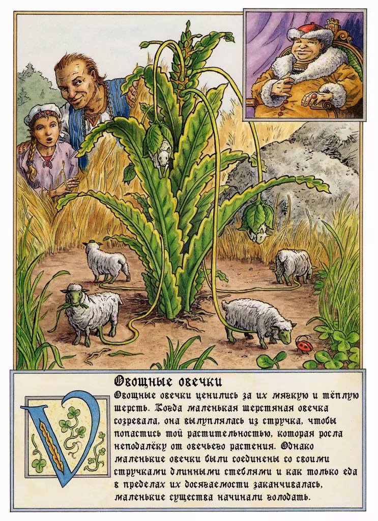 Barometz bestiario medie