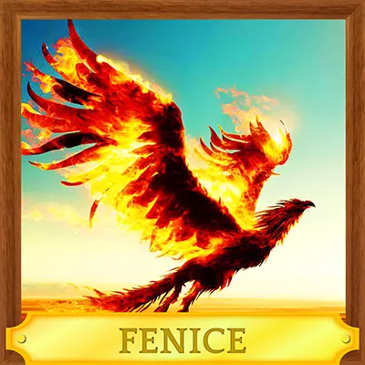D- Fenice