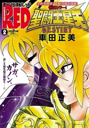 Saint Seiya Destiny - saga dei cavalieri dello zodiaco